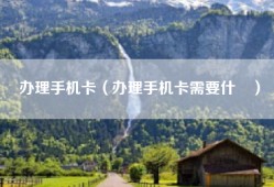 办理手机卡（办理手机卡需要什乿）