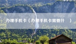 办理手机卡（办理手机卡需要什乿）
