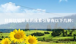目前比较常见的搜索引擎有以下几种：
