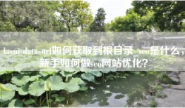 layui data-url如何获取到根目录_seo是什么，新手如何做seo网站优化？