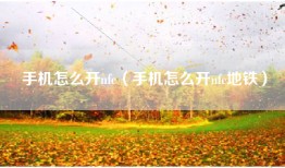手机怎么开nfc（手机怎么开nfc地铁）