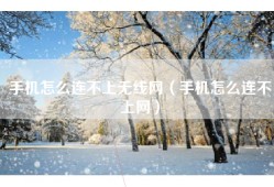 手机怎么连不上无线网（手机怎么连不上网）