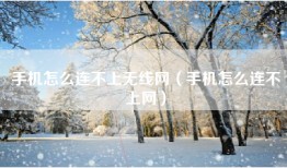 手机怎么连不上无线网（手机怎么连不上网）