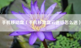 手机移动盘（手机移动盘云退订怎么退）