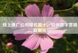 线上推广公司排名前十，引领数字营销新潮流