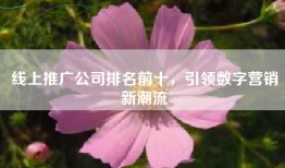 线上推广公司排名前十，引领数字营销新潮流
