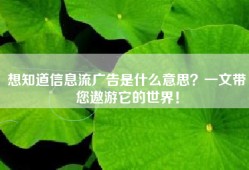 想知道信息流广告是什么意思？一文带您遨游它的世界！