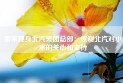 雷军现身北汽集团总部：感谢北汽对小米的关心和支持