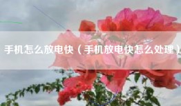 手机怎么放电快（手机放电快怎么处理）