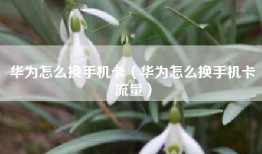 华为怎么换手机卡（华为怎么换手机卡流量）