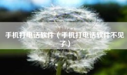 手机打电话软件（手机打电话软件不见了）