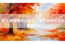 怎么强制格式化手机（手机强制格式化内存卡）