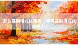 怎么强制格式化手机(手机强制格式化内存卡)
