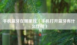 手机蓝牙在哪里找（手机打开蓝牙有什么作用）