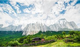 优油乐对发动机是否有害？
