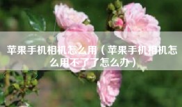 苹果手机相机怎么用（苹果手机相机怎么用不了了怎么办）