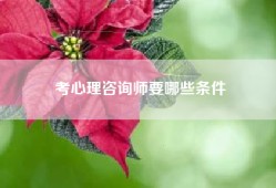 考心理咨询师要哪些条件