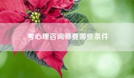 考心理咨询师要哪些条件