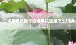 安卓手机流量（安卓手机流量怎么切换卡一卡二）