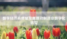 数字经济高质量发展推动制造业数字化转型