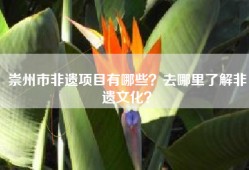 崇州市非遗项目有哪些？去哪里了解非遗文化？