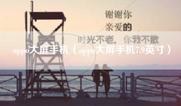 oppo大屏手机（oppo大屏手机7.9英寸）