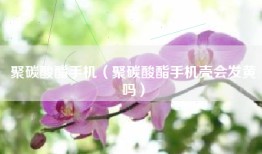 聚碳酸酯手机（聚碳酸酯手机壳会发黄吗）