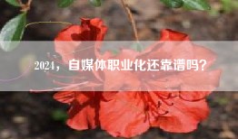 2024，自媒体职业化还靠谱吗？