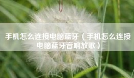 手机怎么连接电脑蓝牙（手机怎么连接电脑蓝牙音响放歌）