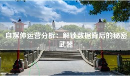 自媒体运营分析：解锁数据背后的秘密武器