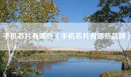 手机芯片有哪些（手机芯片有哪些品牌）