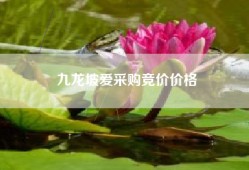 九龙坡爱采购竞价价格