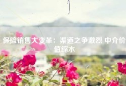 保险销售大变革：渠道之争激烈 中介价值缩水