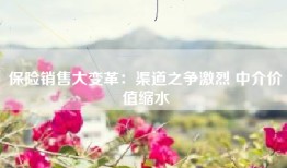 保险销售大变革：渠道之争激烈 中介价值缩水