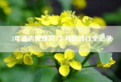 3年酒店管理的3个月的转行全记录