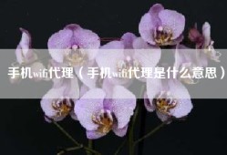 手机wifi代理（手机wifi代理是什么意思）