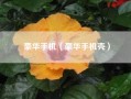 豪华手机（豪华手机壳）