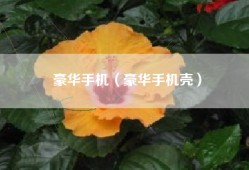 豪华手机（豪华手机壳）
