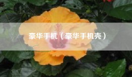 豪华手机（豪华手机壳）
