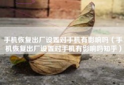 手机恢复出厂设置对手机有影响吗（手机恢复出厂设置对手机有影响吗知乎）