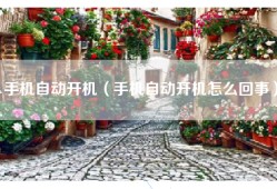 手机自动开机（手机自动开机怎么回事）