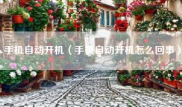 手机自动开机（手机自动开机怎么回事）