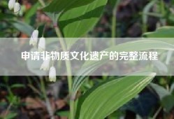 申请非物质文化遗产的完整流程
