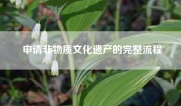 申请非物质文化遗产的完整流程