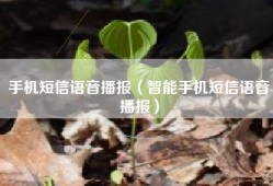 手机短信语音播报（智能手机短信语音播报）