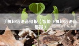 手机短信语音播报（智能手机短信语音播报）