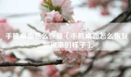 手机桌面怎么恢复（手机桌面怎么恢复到原来的样子）