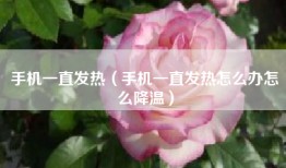 手机一直发热（手机一直发热怎么办怎么降温）