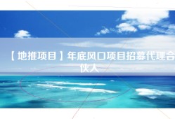 【地推项目】年底风口项目招募代理合伙人