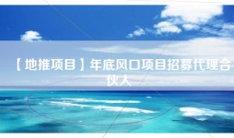【地推项目】年底风口项目招募代理合伙人